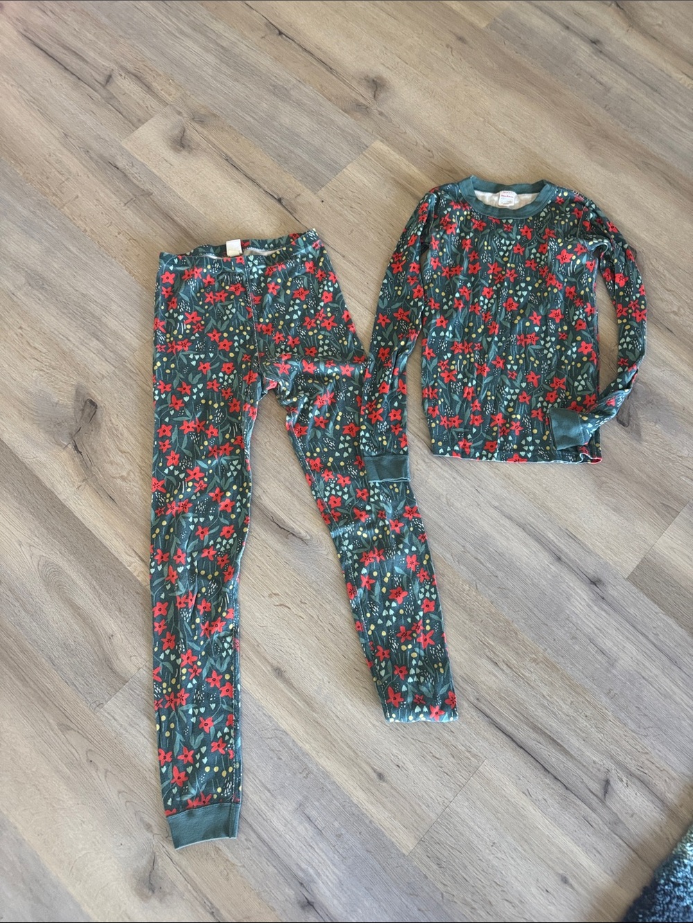 Hanna Andersson Green Floral Long Sleeve Pajama Set with Red Flowers